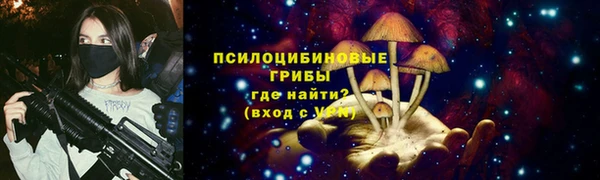 ешки Алексеевка