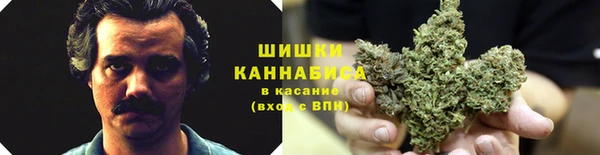 2c-b Алексин