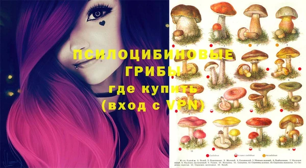 ешки Алексеевка