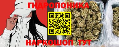 мяу мяу мука Партизанск