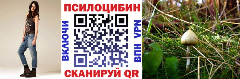 Псилоцибиновые грибы GOLDEN TEACHER  blacksprut рабочий сайт  Чебоксары 