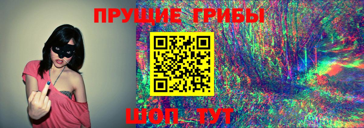 Псилоцибиновые грибы GOLDEN TEACHER Чебоксары